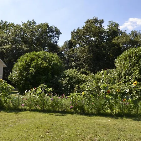 Le Domaine D'anjou * Nailhac