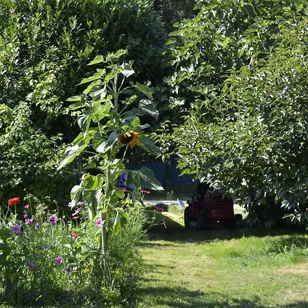 Le Domaine D'anjou * Nailhac